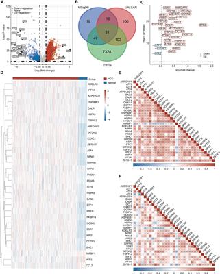 Immunogenic landscape and risk score prediction based on unfolded protein response (UPR)-related molecular subtypes in hepatocellular carcinoma